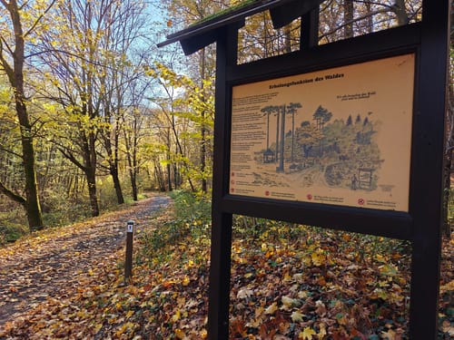 3-Burgen-Weg (Vitaltour)