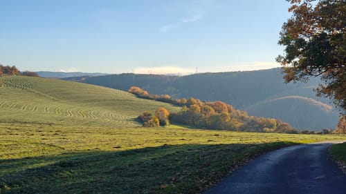 3-Burgen-Weg (Vitaltour)