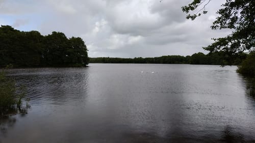Sankelmarker See