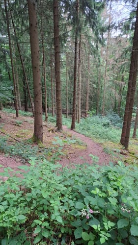 Saar-Leuktal-Panorama (Traumschleife)