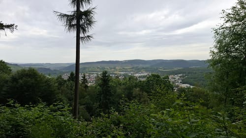 Saar-Leuktal-Panorama (Traumschleife)