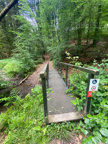 Naafbachtal und Holzbachtal ab Mohlscheid