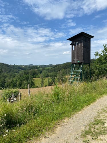 Naafbachtal und Holzbachtal ab Mohlscheid