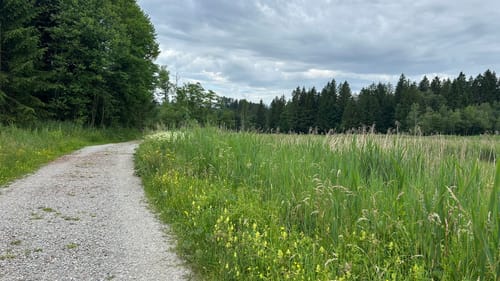 Filzenrundweg (63): Am Samerberg