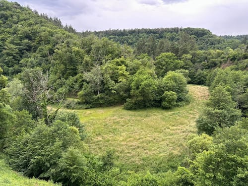 Burg Trutzeltz und  Burg Eltz