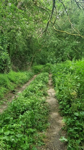 Mösslitz Runde