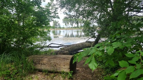 Mösslitz Runde