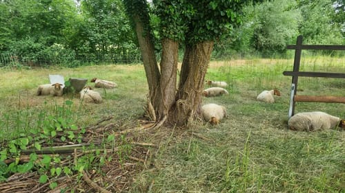Mösslitz Runde