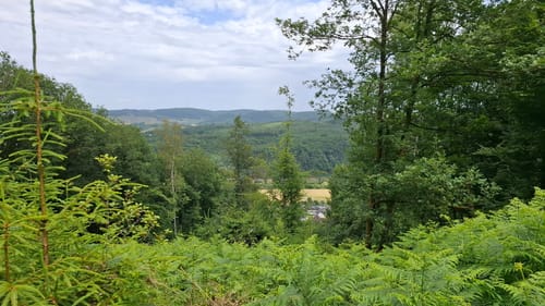 Saar-Leuktal-Panorama (Traumschleife)