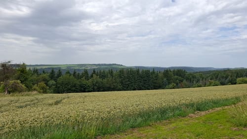 Saar-Leuktal-Panorama (Traumschleife)