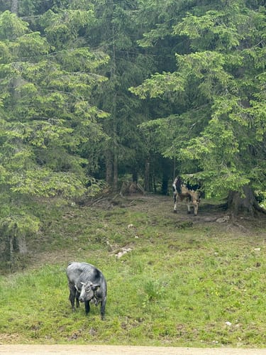 Schleifmühle-Steckenberg Runde