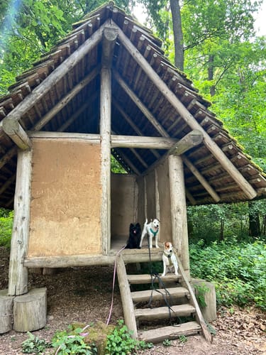 Druidenpfad bei Niedaltdorf