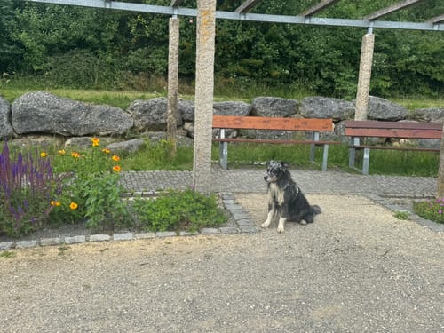 Westbadweiher Runde