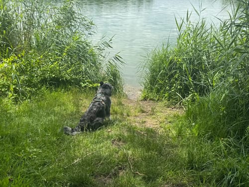 Westbadweiher Runde