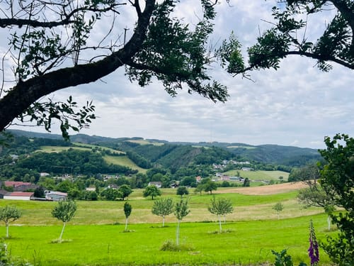 Naturpark Südeifel Wanderweg Nr. 32 - Übereisenbach - Obereisenbach