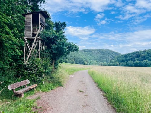 Naturpark Südeifel Wanderweg Nr. 32 - Übereisenbach - Obereisenbach