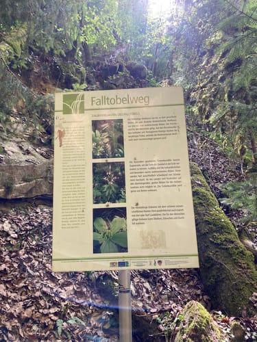 Niedersonthofen - Wasserfall - Stoffelberg