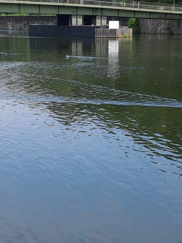 Ruhrschleife bei Hattingen