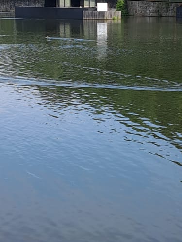 Ruhrschleife bei Hattingen