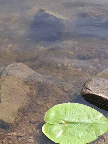 Ruhrschleife bei Hattingen