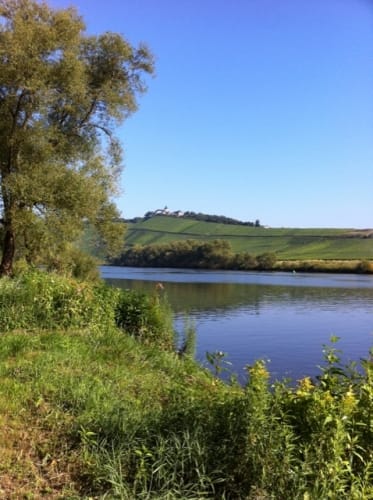 Saar-Mosel-Main Etappe 4: Mülheim an der Mosel - Zell