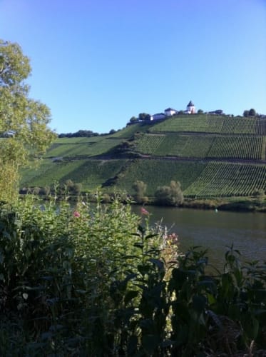 Saar-Mosel-Main Etappe 4: Mülheim an der Mosel - Zell