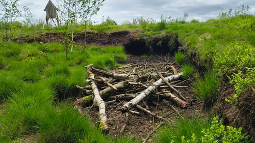 Moorlehrpfad Hahlener Moor