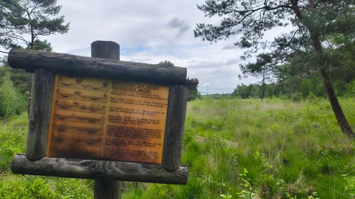 Moorlehrpfad Hahlener Moor