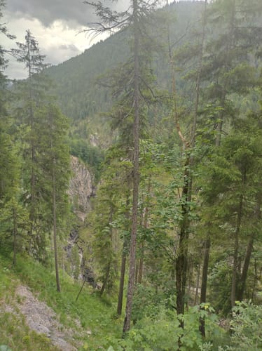 Faller Rundweg