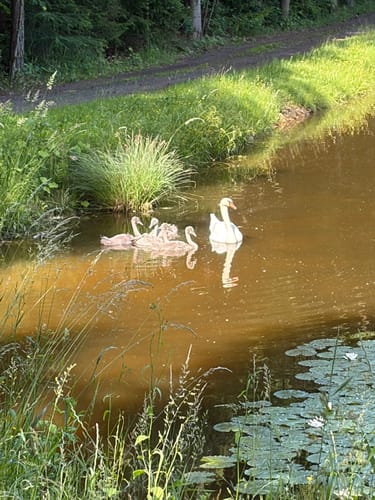 Speichersdorf Rundwanderweg Nr. 6 Gabellohe-Weg