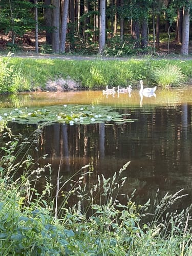 Speichersdorf Rundwanderweg Nr. 6 Gabellohe-Weg