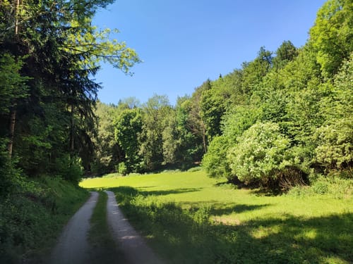 Kiesentalpfad