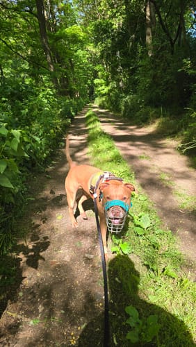 Biesenthal Rundweg