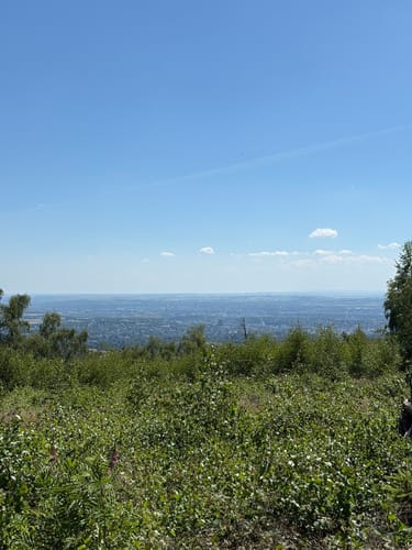 Rassel und Kellerskopf Rundweg