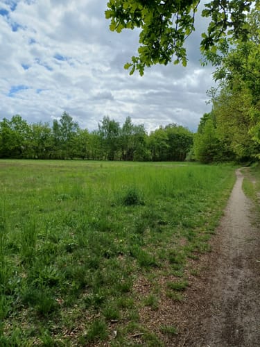 Um den Liepnitzsee bei Wandlitz