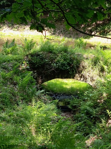 Schlossbergtour (Premiumwanderweg)