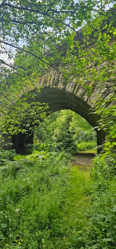 Rundweg um Lehenhammer