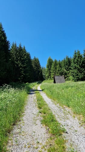 Sophienhof nach Benneckenstein über Stierberg