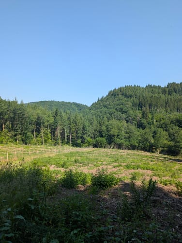 Heinerscheid - Dasburg