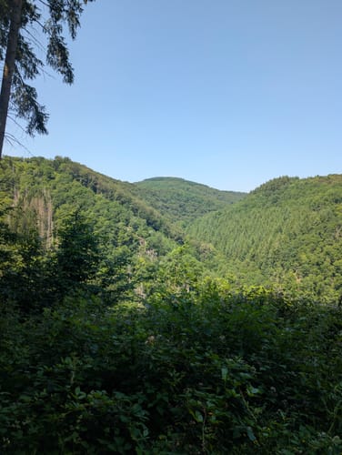 Heinerscheid - Dasburg