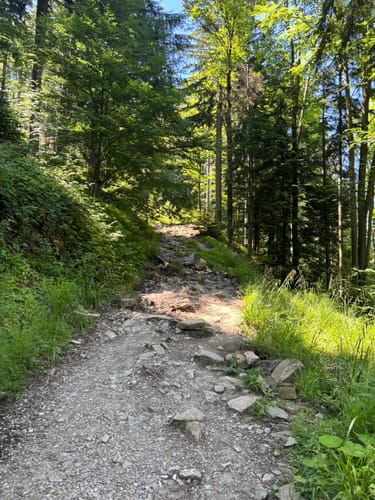 Teisenberg und Stoißer Alm ab Seiberstadt