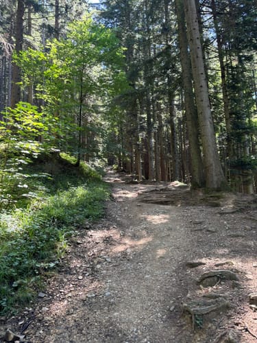 Teisenberg und Stoißer Alm ab Seiberstadt