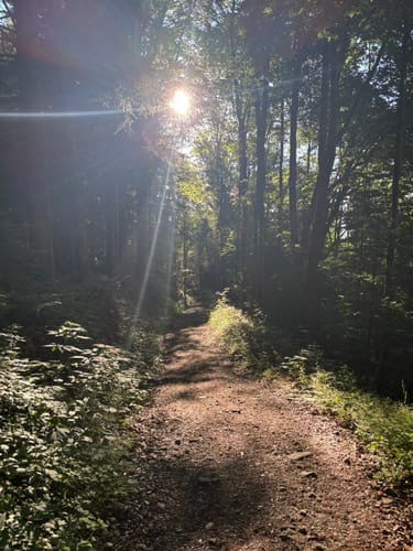 Teisenberg und Stoißer Alm ab Seiberstadt