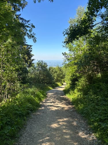Teisenberg und Stoißer Alm ab Seiberstadt