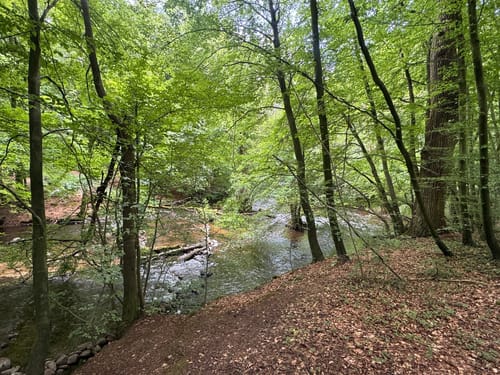 Durch das Nebeldurchbruchtal zur Wassermühle Kuchelmiß
