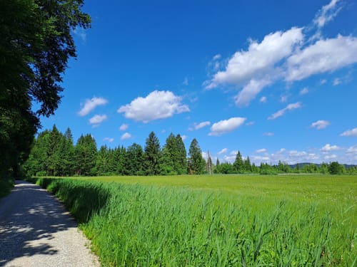 Staffelsee Rundweg