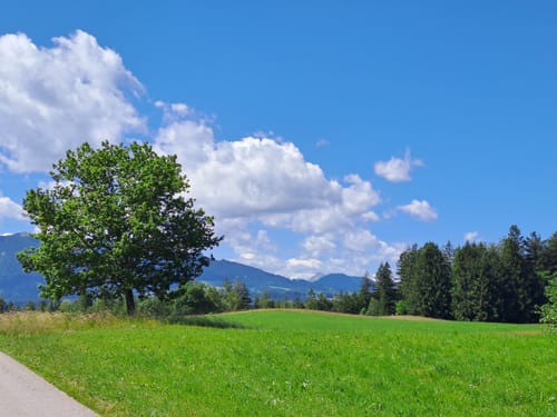 Staffelsee Rundweg