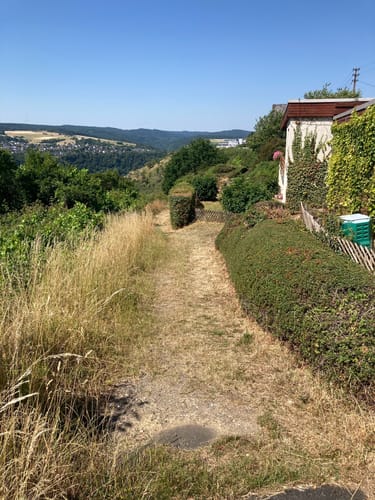 Dreiburgenblick