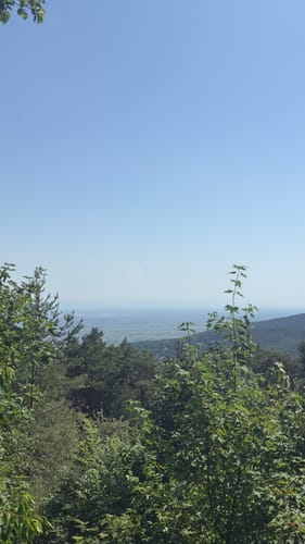 Hambacher Schloss und Hohe-Loog-Haus Kurzwanderweg