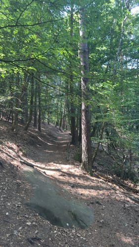 Hambacher Schloss und Hohe-Loog-Haus Kurzwanderweg